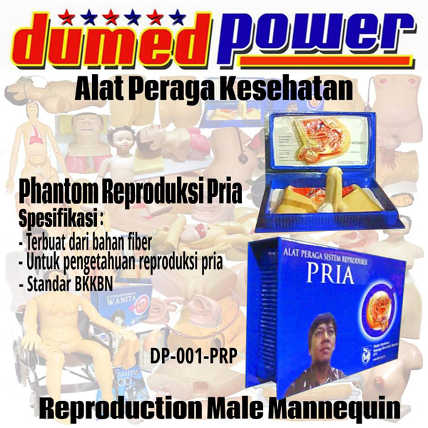 Phantom Reproduksi Pria DP-001-PRP