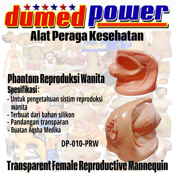 Phantom Reproduksi Wanita DP-010-PRW